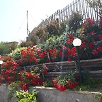 Sweet House Of The Flowers *