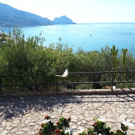 Sweet House Of The Flowers