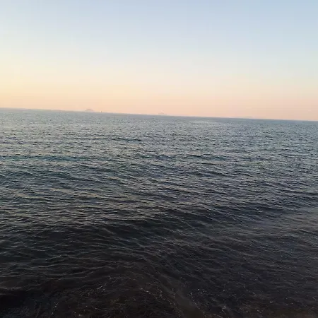 Sweet House Of The Flowers