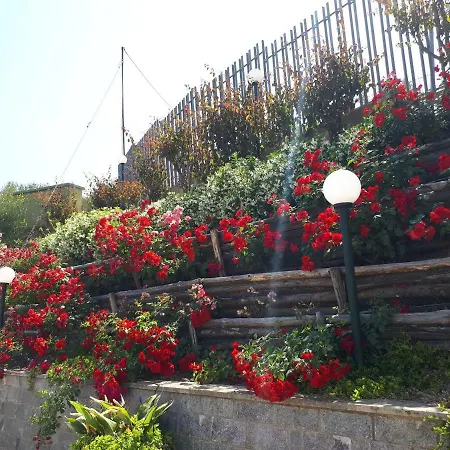 Sweet House Of The Flowers *